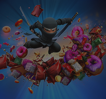 Ninja Crash